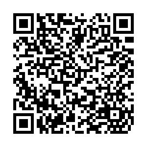 1649899303429395.png 31.png